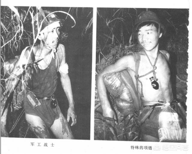 解放战争黑山阻击战:亮剑里边说的拿5吨炮弹换下李云龙，那么5吨炮弹有多少发？