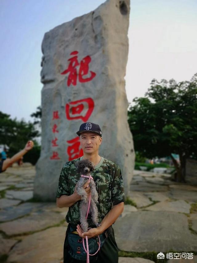 养一只狗有多难？