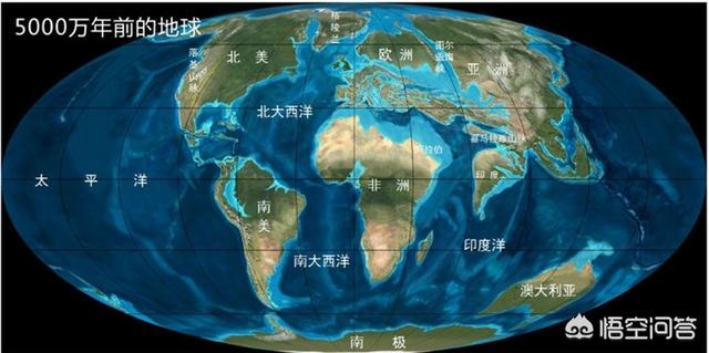 古蜥鲸:四足鲸鱼大约生活在多少年前？