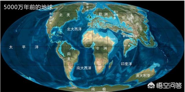 矛齿鲸骨架:四足鲸鱼大约生活在多少年前？