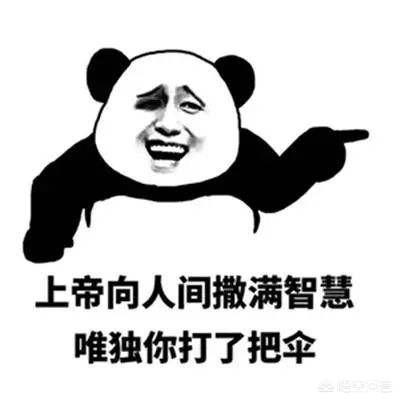有哪些让你笑喷出饭来的笑话？