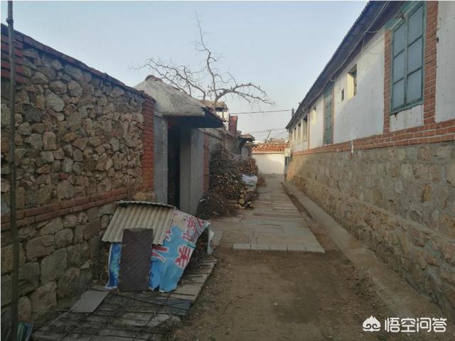 农村凶虎压青龙房屋图,农村左邻右舍的房子比自己家高怎么办？