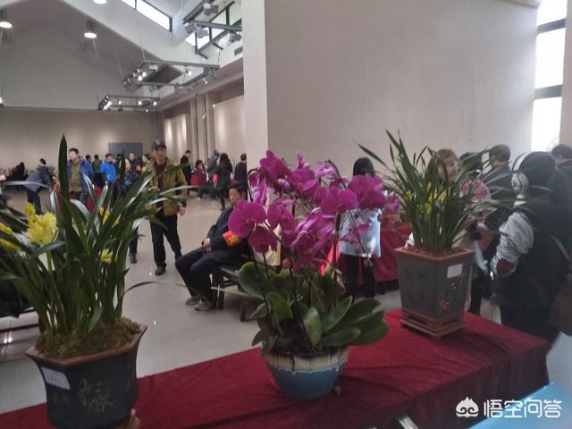 诚信摆渡人:不讲诚信的人越来越多（比如借钱不还），原因是什么？