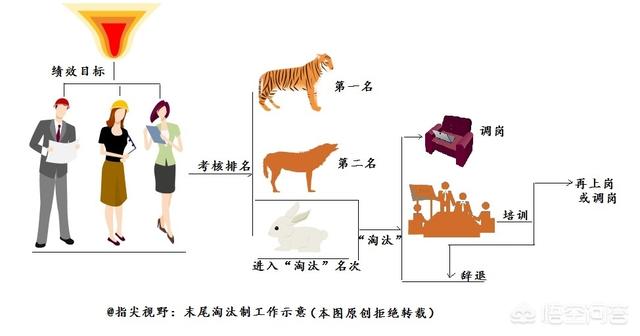 陈瑶被淘汰:《乘风破浪的姐姐》淘汰名单已出，你觉得节目投票公平吗？