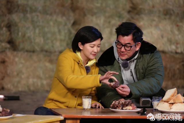 陈蓉个人资料:如何评价东方卫视主持人陈蓉？她的近况如何？