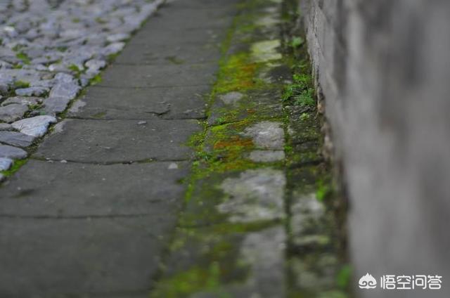 北京郊区<a href=https://maguai.com/list/52-0-0.html target=_blank class=infotextkey>旅游</a>:北京近郊自驾游，晚上出发，第二天游玩哪里比较合适？
