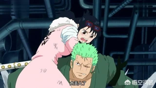 头条问答 - 海贼王里大家看好索隆和小紫的cp吗?为什么?(1个回答)