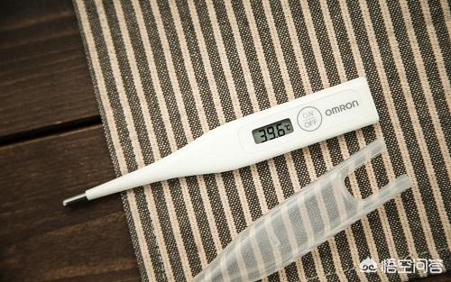 两个月狗狗感冒了吃什么药:两个月狗狗感冒了吃什么药好 泰迪2个月感冒吃什么药？