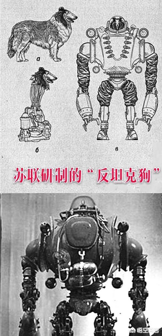 重工业帝国:苏联为什么先发展重工业？