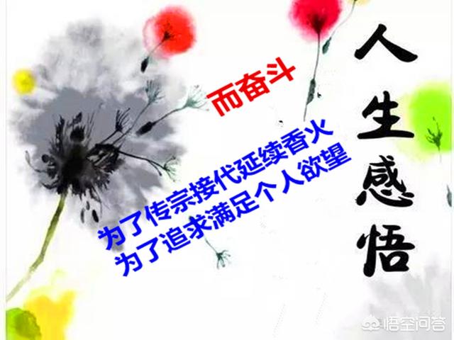 人的一生到底为什么而奋斗？
