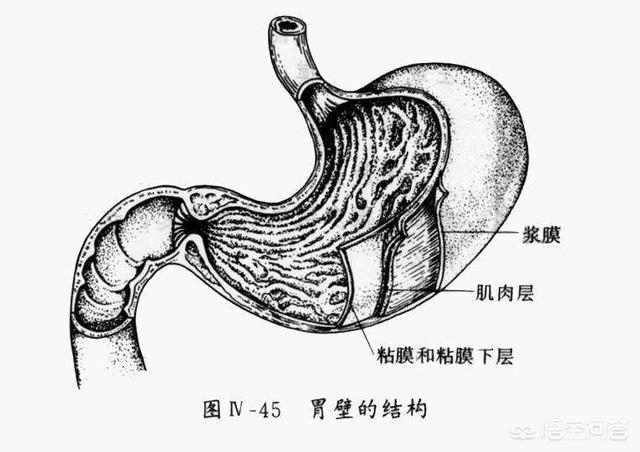 胃癌晚期症状：胃癌晚期症状能活多久