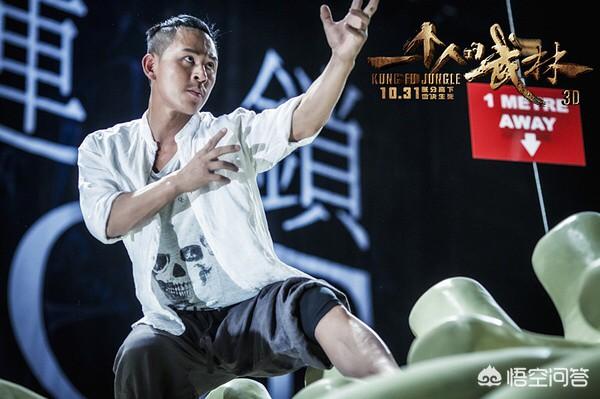 杨采妮电影:电影《一个人的武林》，到底讲述了什么