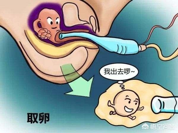 现在的试管婴儿成功率是不是普遍虚高？