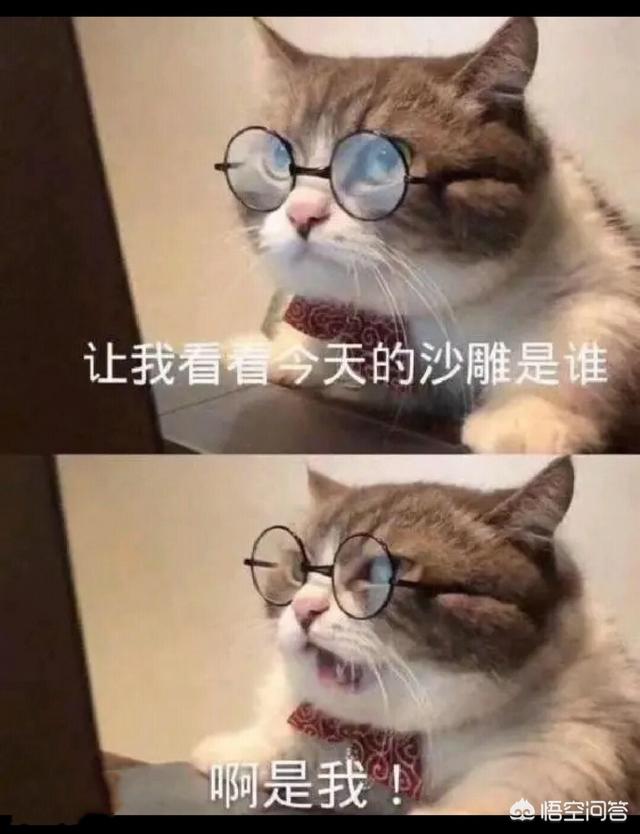 微信爱情表情图片大全:你最喜欢的<a href=https://maguai.com/list/39-0-0.html target=_blank class=infotextkey>搞笑</a>表情包是哪一张？(表情包 搞怪 表情)