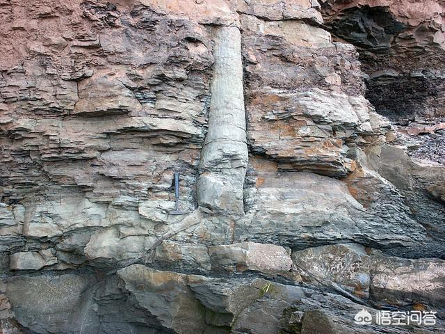 10000米长的蜈蚣，考古学家挖掘的石炭纪时期3米长巨型蜈蚣你怎么看