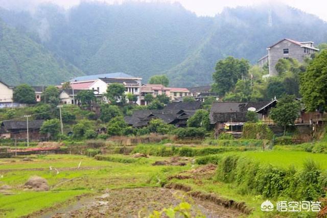 农民靠种地能够养活一家人吗？
