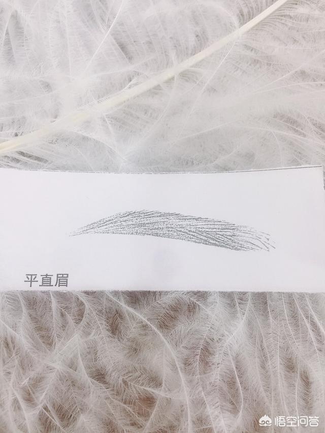 怎样学会眉毛的入门画法呢？插图45