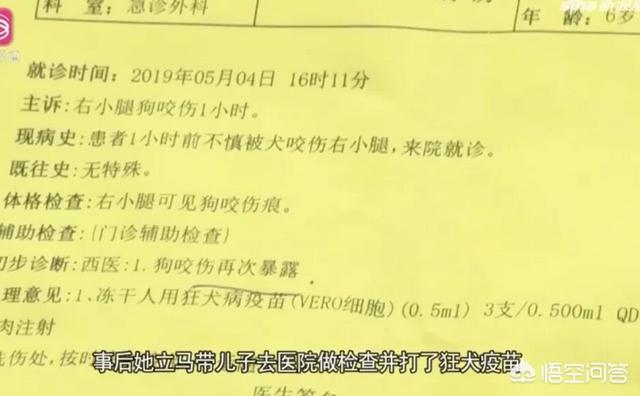 深圳狗狗网怎么了:深圳一狗咬男孩两次，男孩父亲打死狗遭索赔2万, 你怎么看？