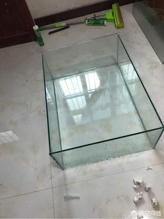 生态鱼缸制作:做个雨林缸多少钱?如何设计一个喜欢的雨林缸款式?