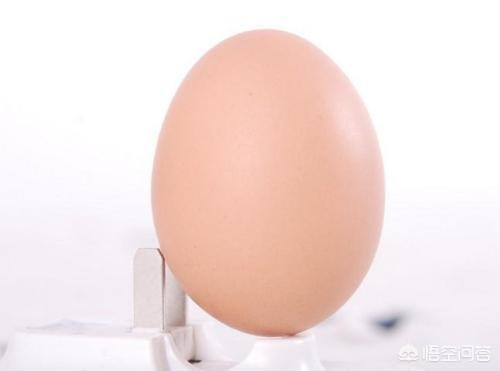 加快脂肪消耗的饮食方法是什么？