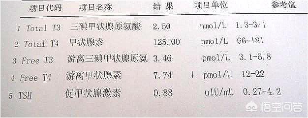 低碳会导致无力、甲减和基础代谢降低吗？