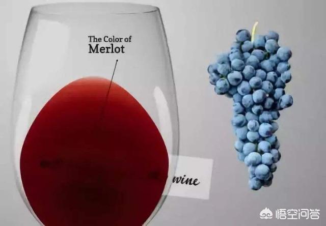 葡萄酒有哪些，哪些品种的葡萄酒值得推荐