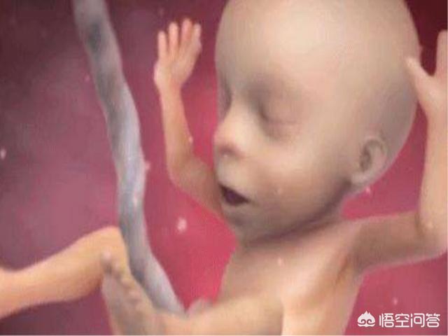 婴儿没出世在妈妈肚子时候吃什么？