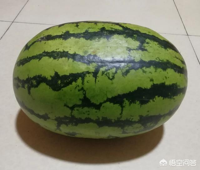 超级男神西红士:农村沙质土壤适合种什么农作物？