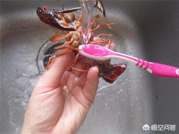 如何弄小龙虾才干净，小龙虾自己做干净吗