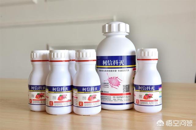 蚜虫:哪些农药能消灭蚜虫呢？需要注意哪些问题？