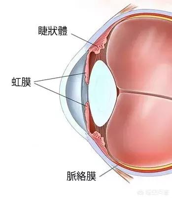 中药治疗葡萄膜炎:儿童葡萄膜炎能彻底治愈吗？怎么能防止以后不复发？