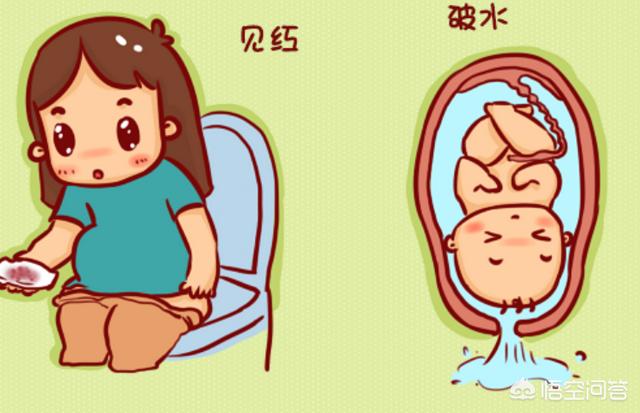 石家庄男子活剖孕狗拍视频:商朝令人谈之色变的“滴水刑”，到底是怎样的一种刑罚？