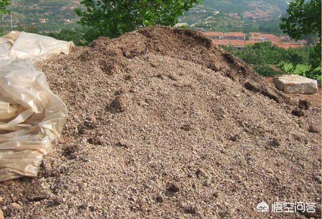 头条问答 - 在农村,用粪便种出的菜可以吃,请问用粪便养出的小龙虾