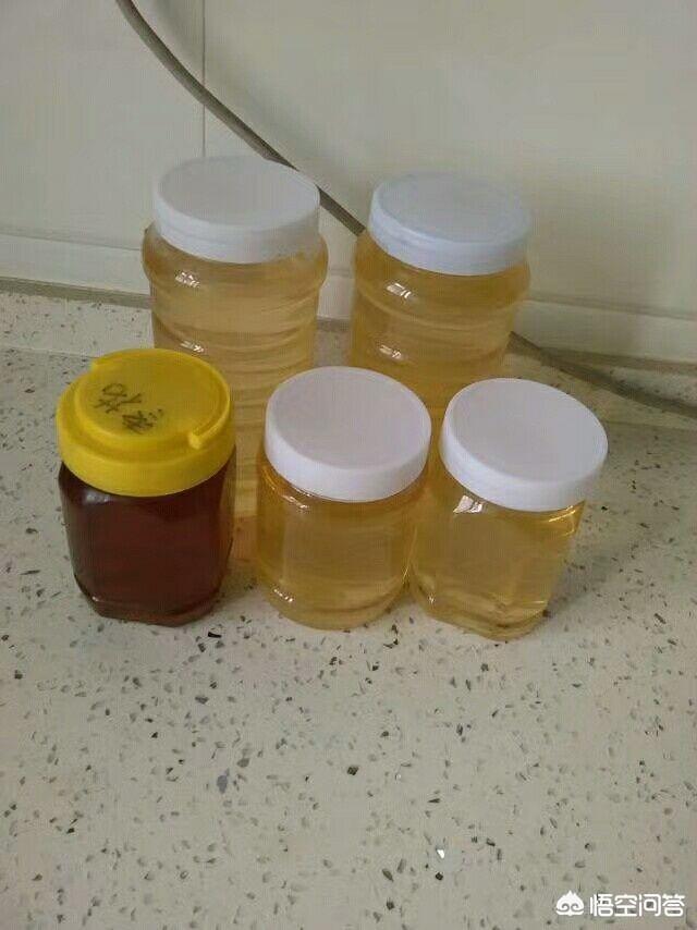 洋槐蜂蜜的功效:喝槐花蜜蒸熟好还是喝生槐花蜜好？有什么好处？
