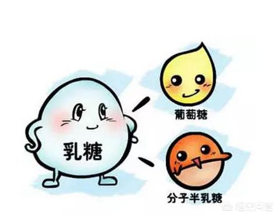 乳糖不耐受症状能加辅食吗:小孩乳糖不耐受应该怎么办？