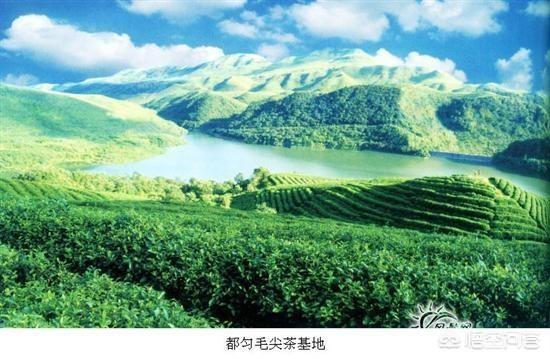 如何写广告推广方案？