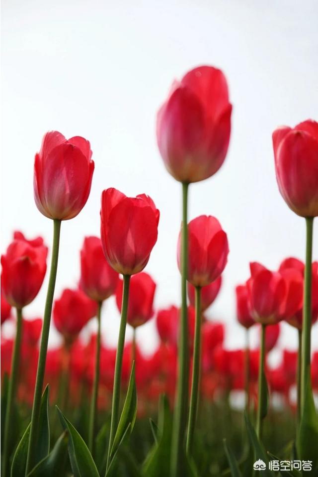 微信<a href=https://maguai.com/list/256-0-0.html target=_blank class=infotextkey><a href=https://maguai.com/list/256-0-0.html target=_blank class=infotextkey>朋友圈</a></a>小技巧有哪些:微信有哪些鲜为人知的使用技巧？