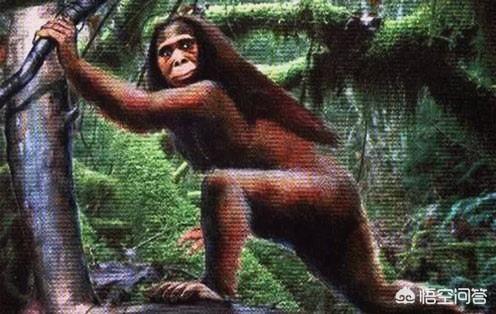 神农架野人:神农架野人目击地是否存在？神农架野人图片是真的吗？