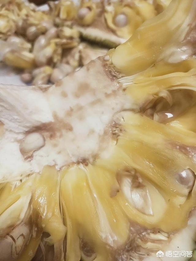 菠萝蜜有哪些吃法？