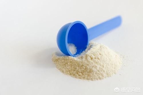 荷兰侏儒兔 价格:荷兰侏儒兔拉稀了需要喂水吗？