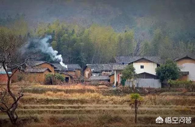 在农村里老人常说,“狗不过八,鸡不过六”,这个是什么意思呢？