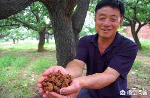 肉干销售渠道:商场卖的肉干在哪里批发 养殖业产品销往哪里？怎么销售？