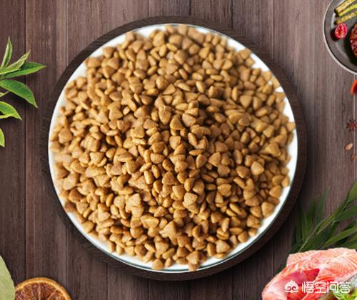 松师犬如何防止淌眼泪:我家的藏獒犬为什么总是流眼泪，眼睛上老是脏，有什么办法吗？