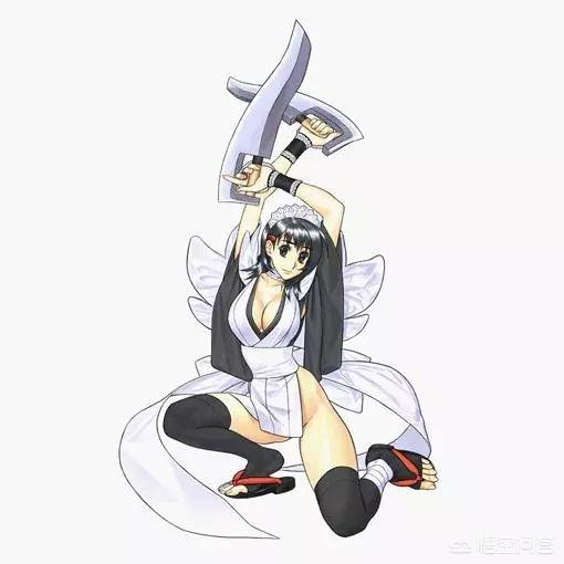 侍魂 易(侍魂易多少钱)