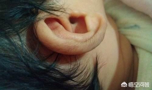 什么时候做胎毛笔:婴儿耳朵上胎毛什么时候全掉完？