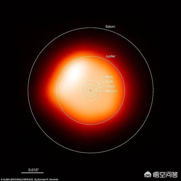 锈斑猫高级危险猫种:种植的大葱、大蒜，锈病是什么原因造成的？如何防治？