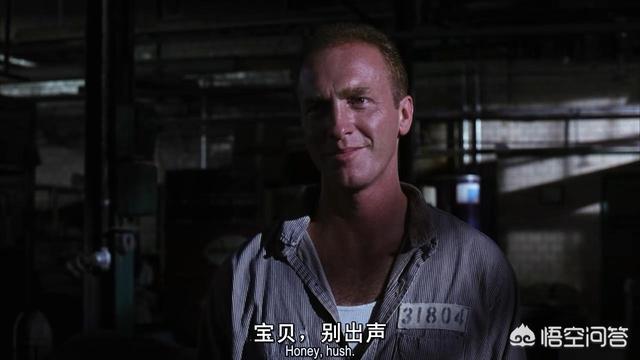 肖申克的救赎主演:电影《肖申克的救赎》为什么有那么高的分