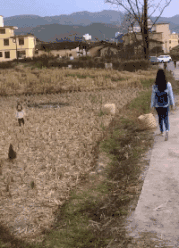 适合发朋友圈的段子:诸君！你们有什么令人捧腹的段子？