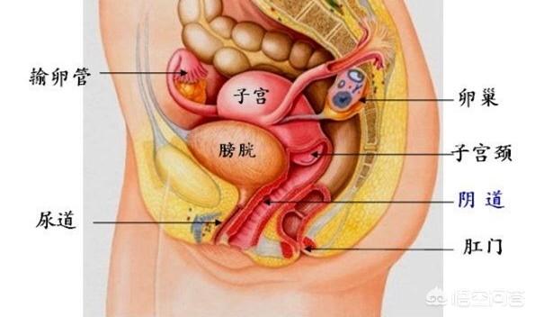 宫颈糜烂一度触碰出血吗，宫颈糜烂触碰性出血就是癌吗