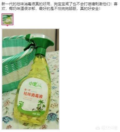 宠物除味剂可以直接喷在宠物身上么:猫尿沙发上怎么清洗，猫在沙发上尿怎么除臭呢？